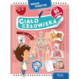 Naklejki Edukacyjne-Ciało Człowieka